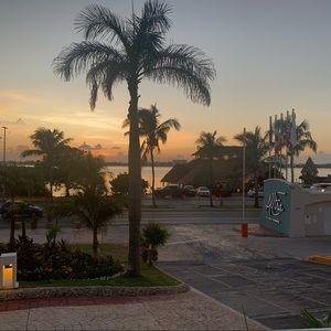 Meet your Posher, Alaina